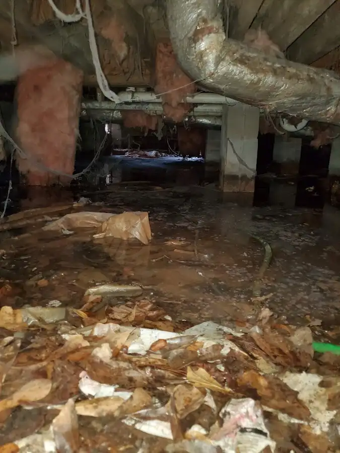 Crawl space flood assessment for Commercial Water Damage Restoration in Carson