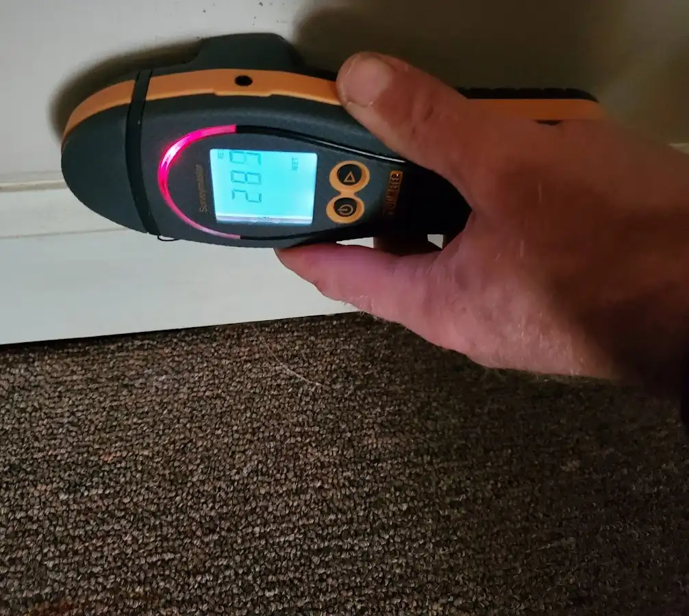 Moisture detection at baseboard during Mold Inspection & Testing in Carson